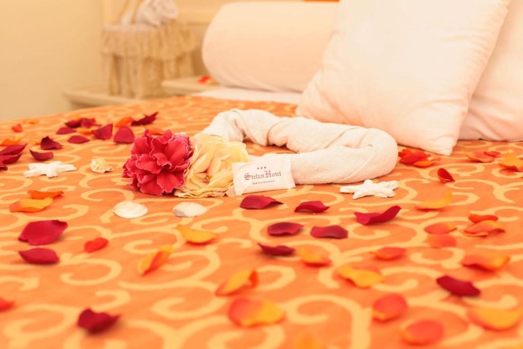 Quadruple Room,287024508:JPEG